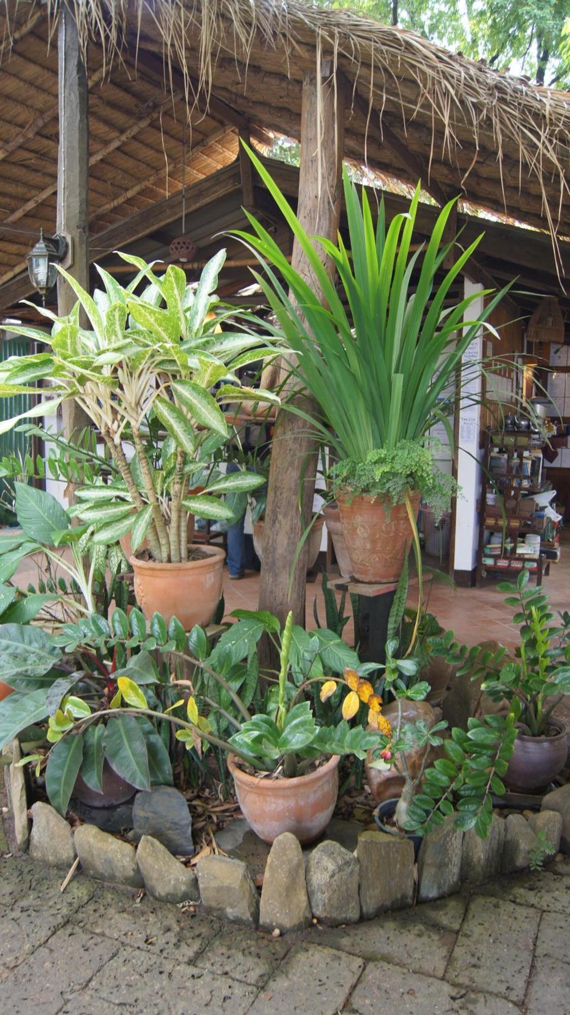 Mut Mee Garden Guest House Nong Khai Esterno foto