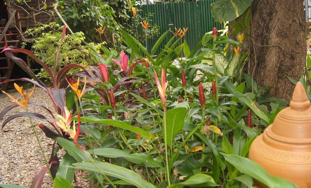 Mut Mee Garden Guest House Nong Khai Esterno foto